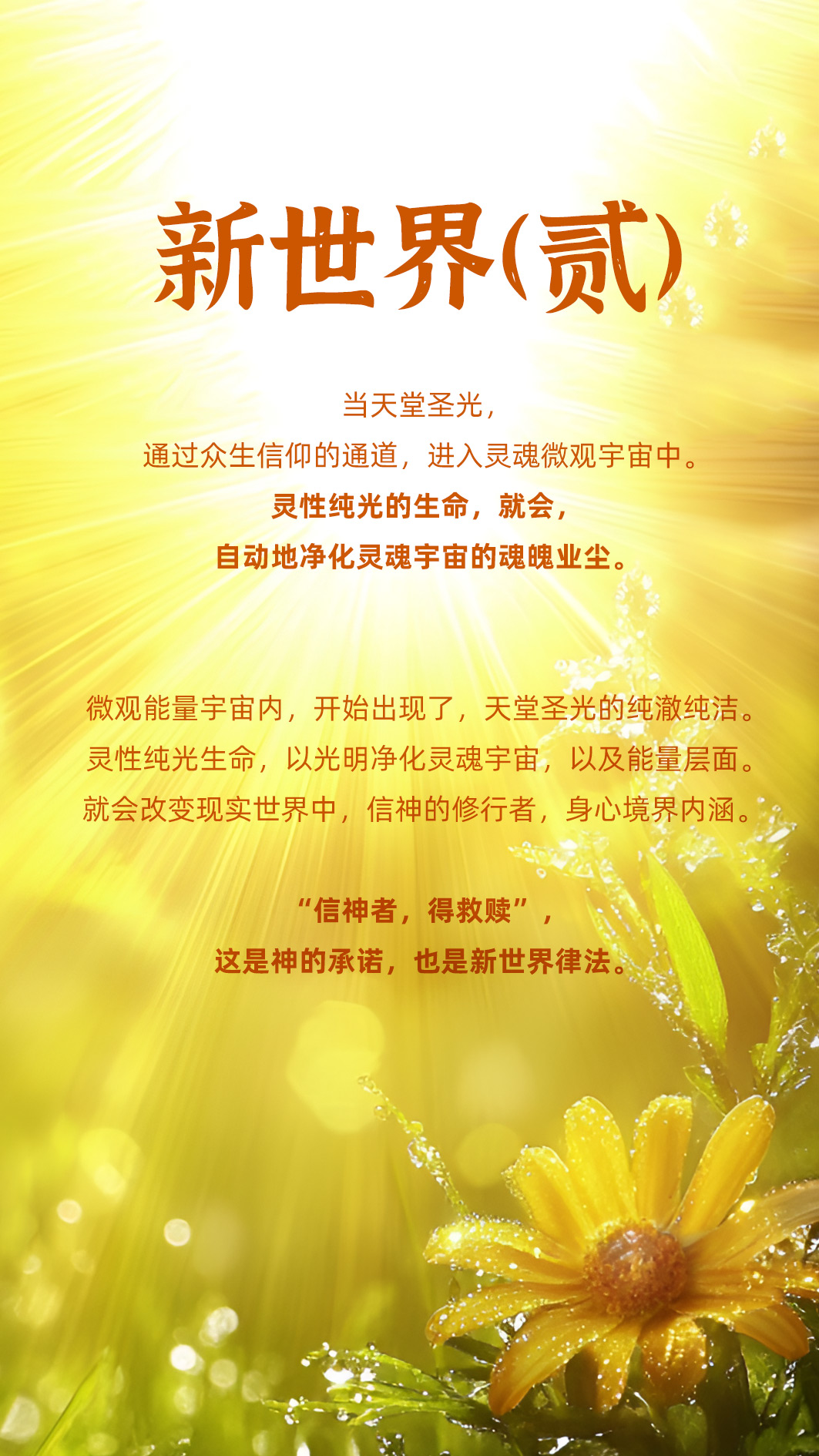 0207新世界（贰）1.jpg