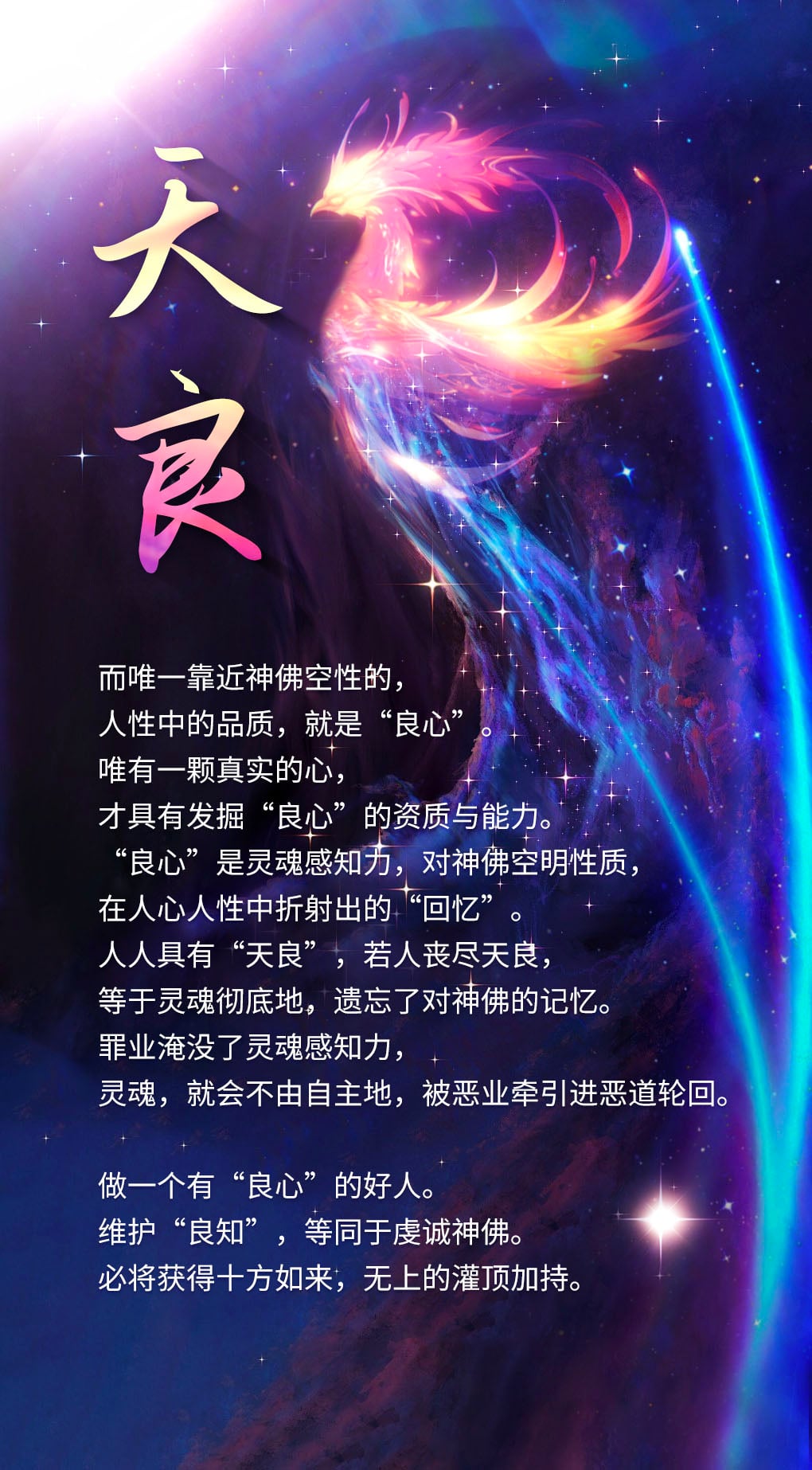 0215天良.jpg