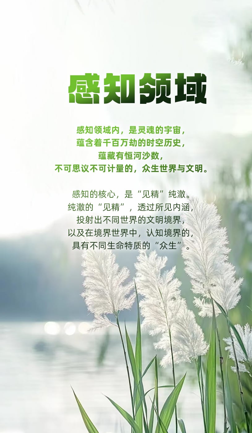 1111感知领域1.jpg